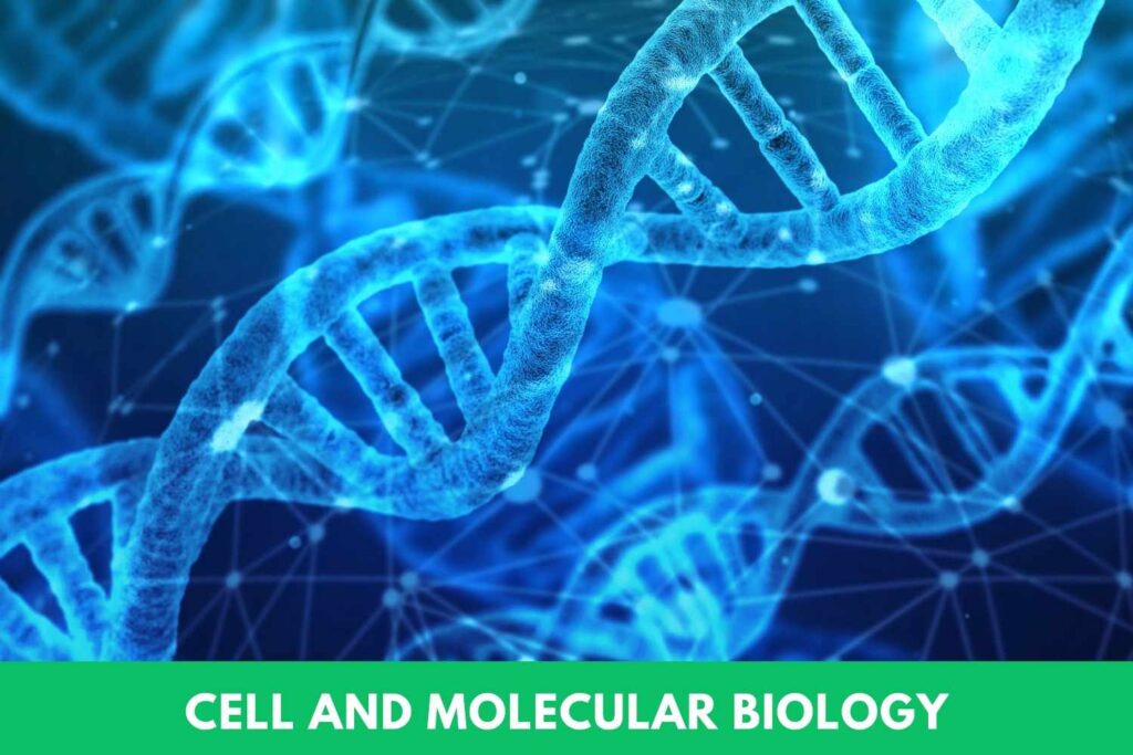 CELL AND MOLECULAR BIOLOGY