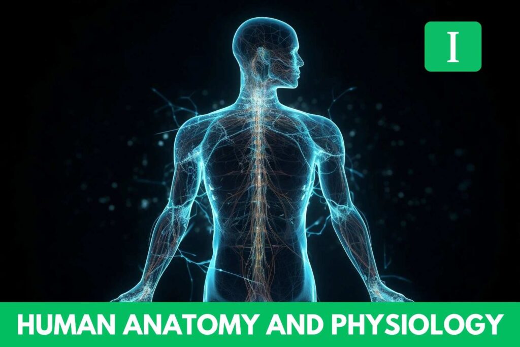 HUMAN ANATOMY AND PHYSIOLOGY-1