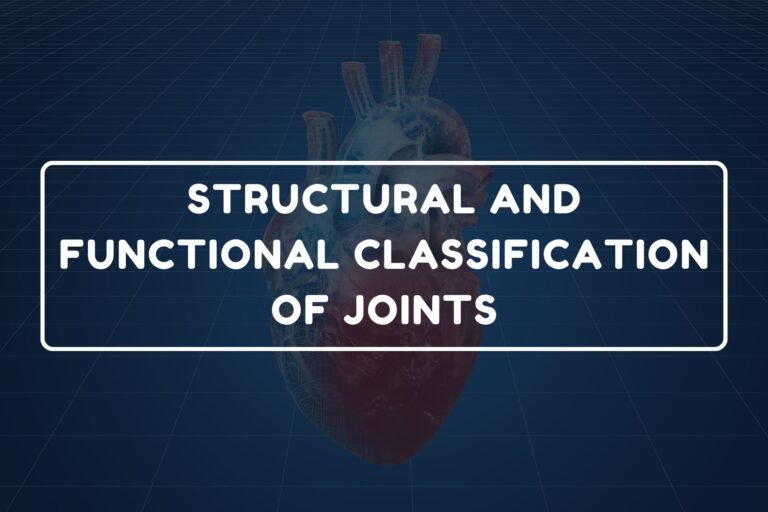 Classification of Joints – B.Pharm HAP-I Chapter 12 diagram
