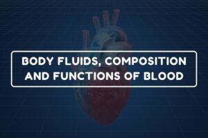 Functions of Blood – B.Pharm HAP-I Chapter 14 diagram