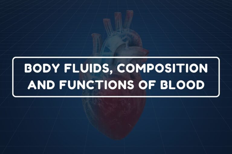 Functions of Blood – B.Pharm HAP-I Chapter 14 diagram