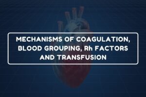 Mechanisms of Coagulation – B.Pharm HAP-I Chapter 16 diagram