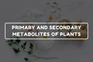 PRIMARY AND SECONDARY METABOLITES OF PLANTS