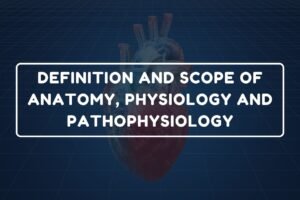 Definition and Scope of Anatomy – B.Pharm HAP-I Chapter 2 diagram