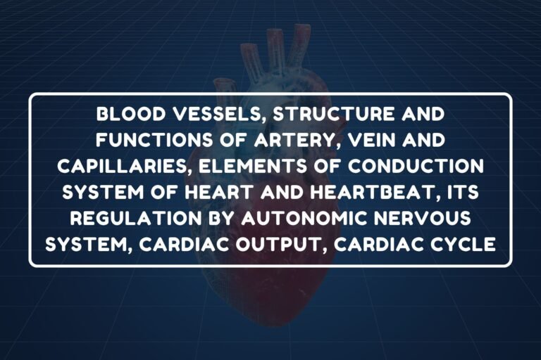Cardiac Cycle – B.Pharm HAP-I Chapter 24 diagram