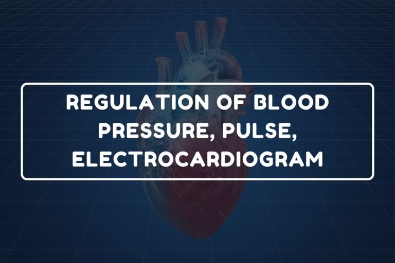 Regulation of Blood Pressure – B.Pharm HAP-I Chapter 25 diagram