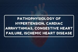 Ischemic Heart Disease – B.Pharm HAP-I Chapter 26 diagram