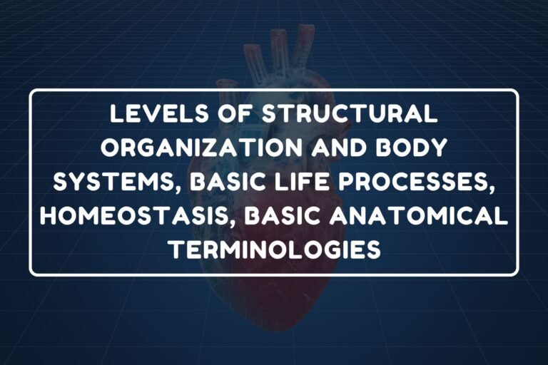 Levels of Structural Organization – B.Pharm HAP-I Chapter 3 diagram