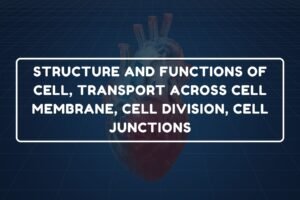 Transport Across Cell Membrane – B.Pharm HAP-I Chapter 4 diagram
