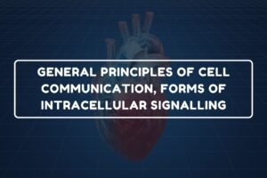 Cell Communication – B.Pharm HAP-I Chapter 5 diagram