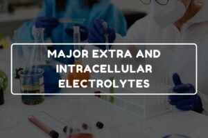 MAJOR EXTRA AND INTRACELLULAR ELECTROLYTES