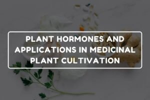 PLANT HORMONES AND APPLICATIONS IN MEDICINAL PLANT CULTIVATION