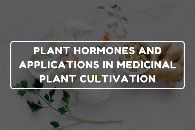 PLANT HORMONES AND APPLICATIONS IN MEDICINAL PLANT CULTIVATION