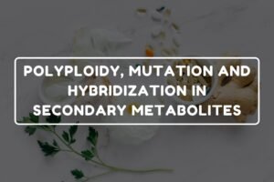 POLYPLOIDY, MUTATION AND HYBRIDIZATION IN SECONDARY METABOLITES